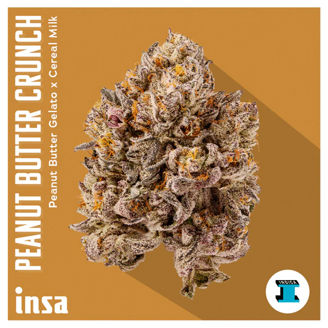 INSA Peanut Butter Crunch 14g