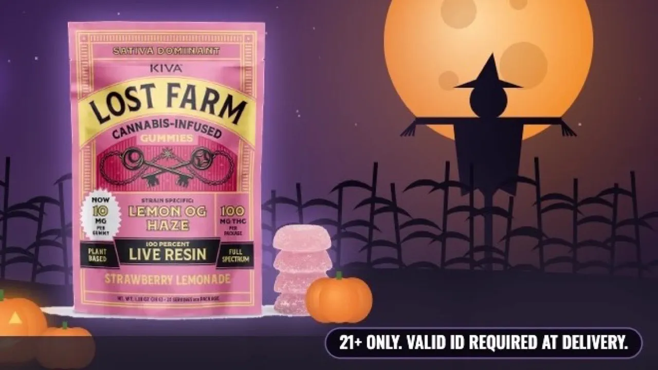 Lost in the Haunted Harvest