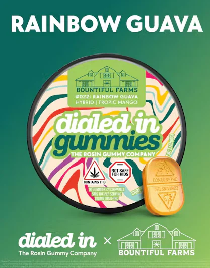 Dialed In Gummies Tropical Mango x Rainbow Guava Rosin Gummies 100mg