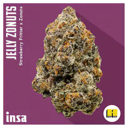 INSA Jelly Zonutz