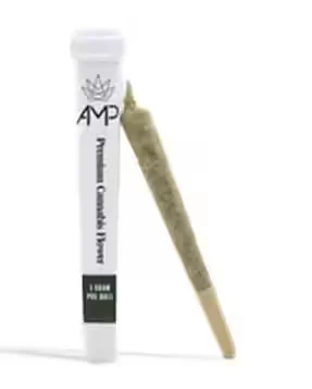 AMP Morockin Kush 1g