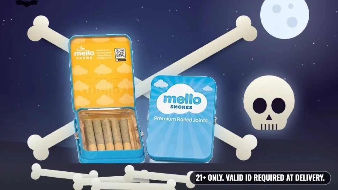 Pack of Bones