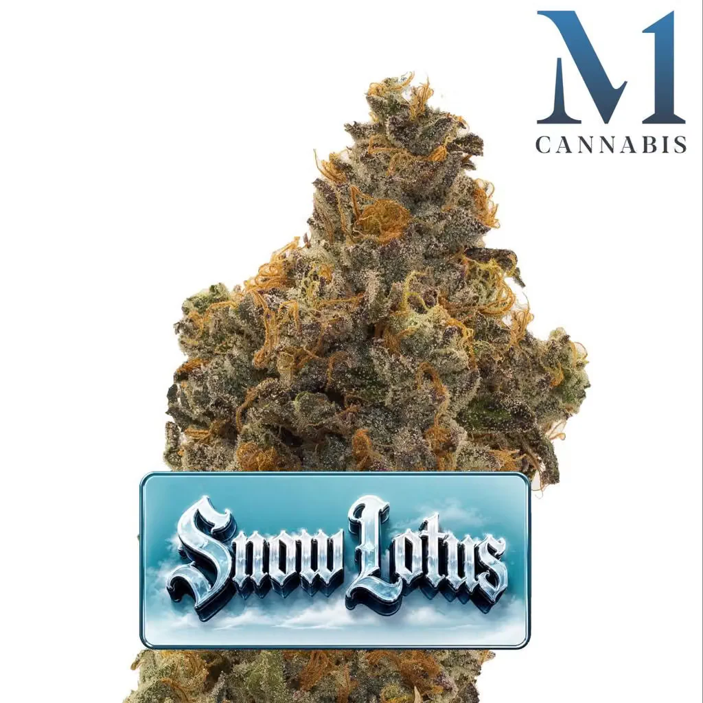M1 Snow Lotus