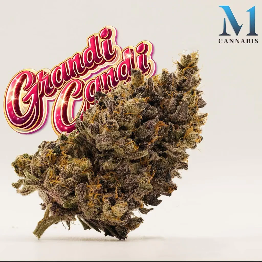 M1 Grandi Candi