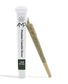 AMP Glue Pre-Roll