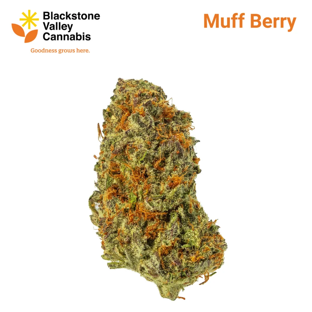 Blackstone Valley Cannabis Muff Berry 3.5g