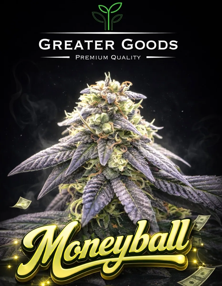 Greater Goods Money Ball