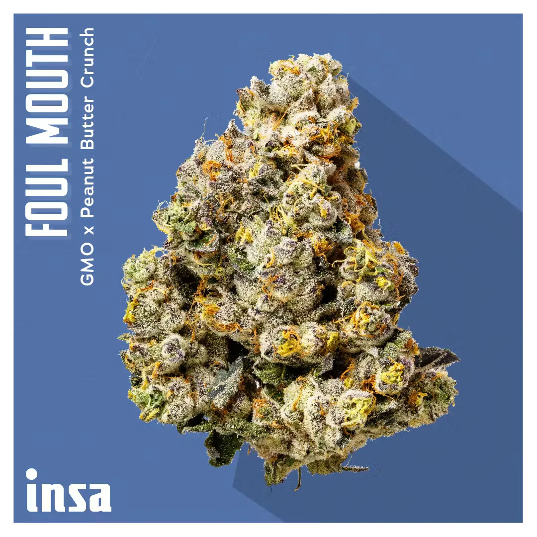 INSA Foul Mouth 14g