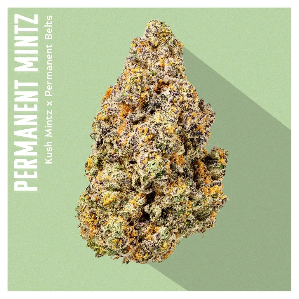 INSA Permanent Mintz 3.5g
