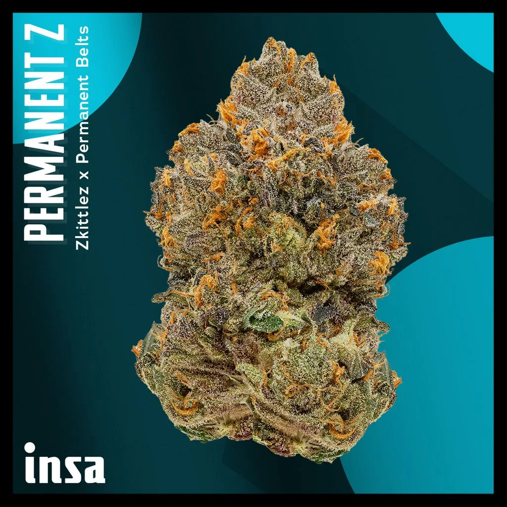 INSA Permanent Z 28g