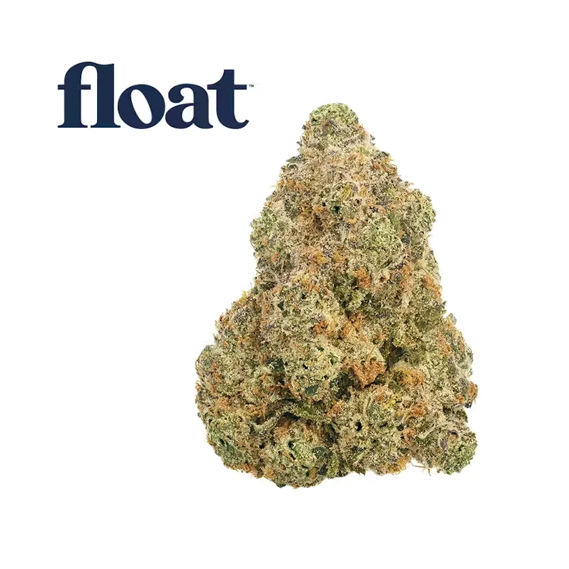 NETA White Hot Guava x Black Velvet
